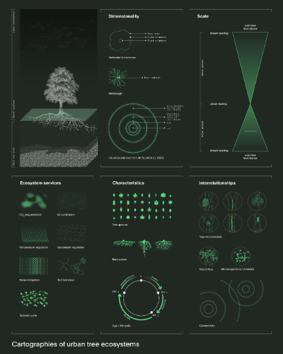 Graphical processing of information about trees